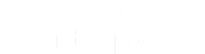 Techvify Client Partner 2025 9